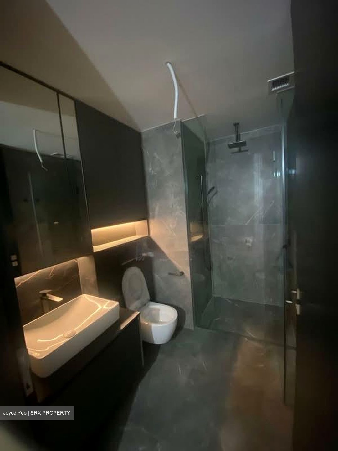 Irwell Hill Residences (D9), Apartment #549536801